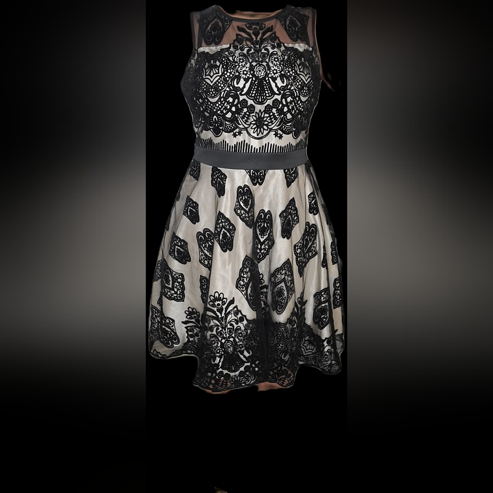 Beautiful Elegant Black Lace Overlay Prom Dress 💃👗✨ #Prom #Dress #Fashion